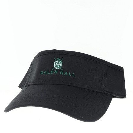 #1516333 CFV VISOR BLACK