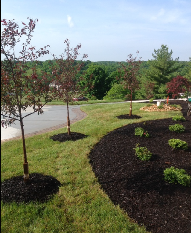 Landscape Designs
