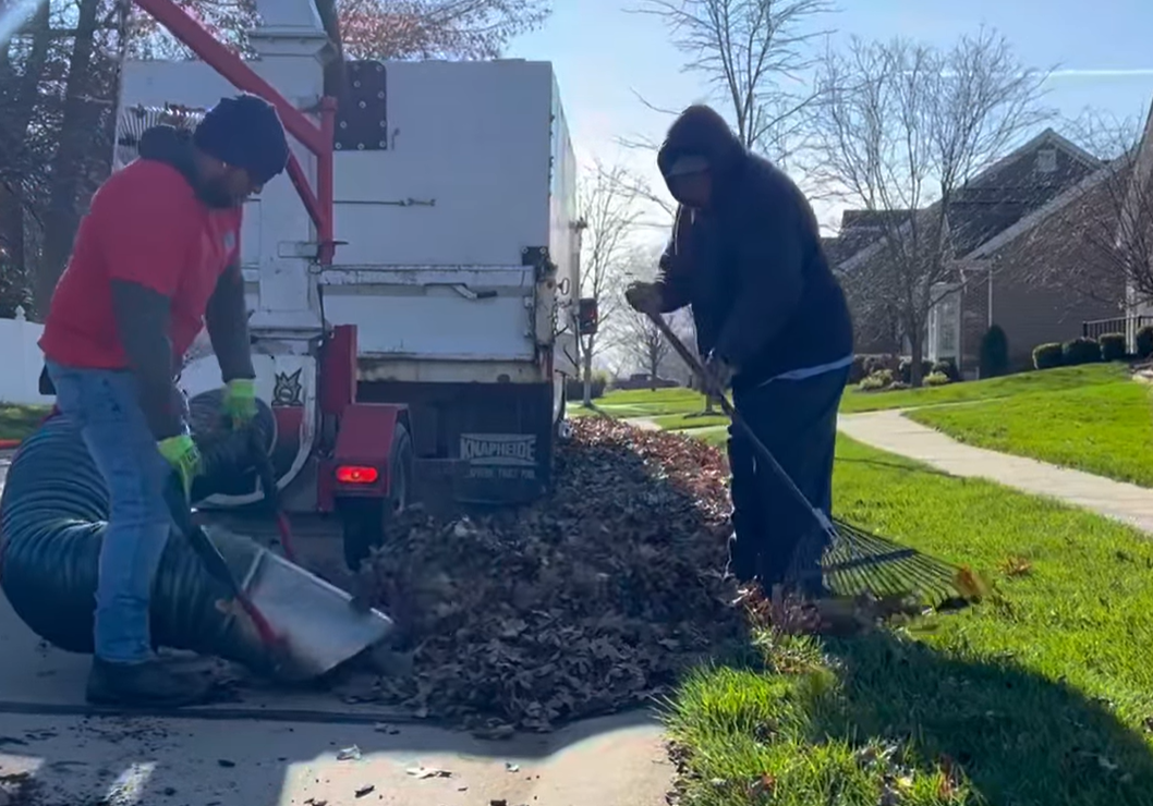 Leaf Removal Services