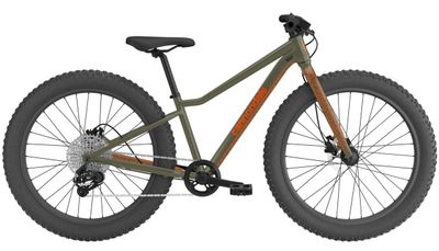 Cannondale Trail Plus 24&quot;