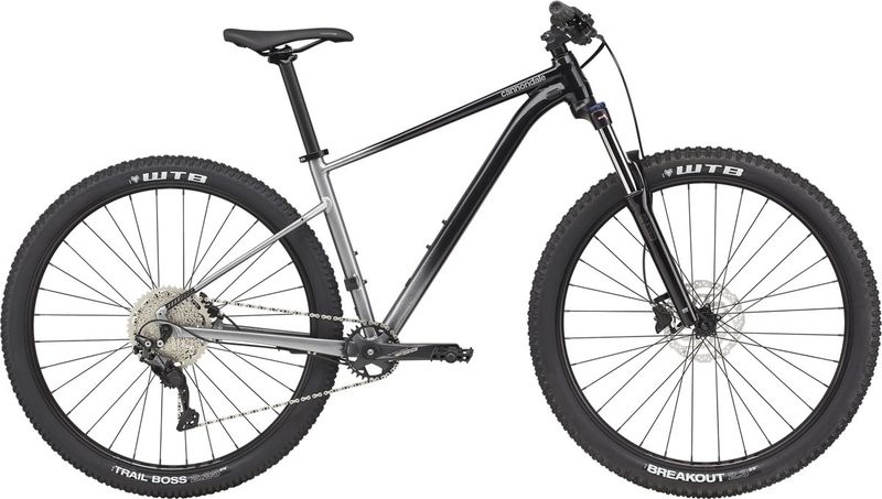 Cannondale Trail SE 4 Grey