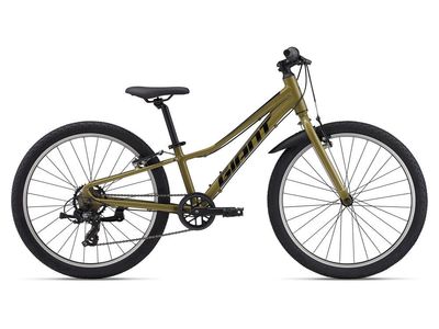 Giant Talon 24 Lite