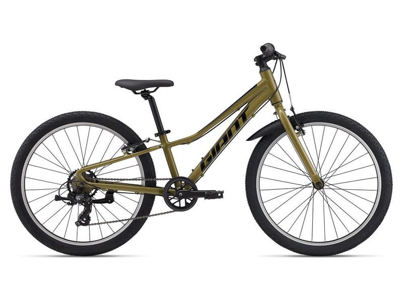 Giant Talon 24 Lite