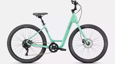 Specialized Roll 3.0 Step-Through
