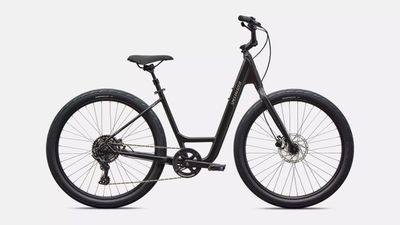 Specialized Roll 3.0 Step-Through