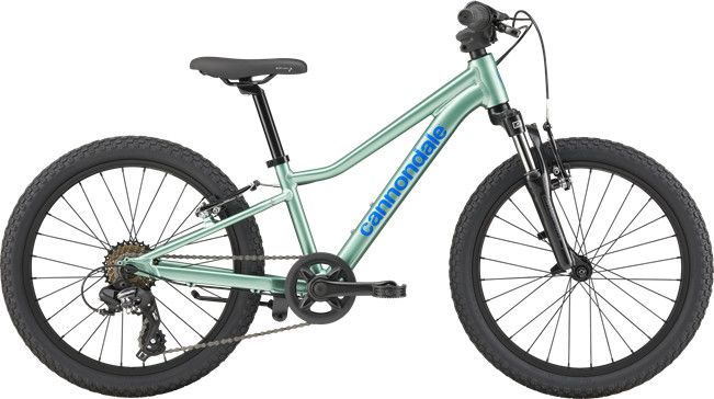 Cannondale Trail 20 Multi, Color: Cactus Green