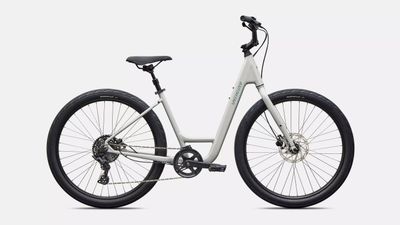 Specialized Roll 3.0 Step-Through
