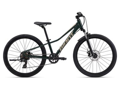 Giant Talon 24 Disc Trekking Green