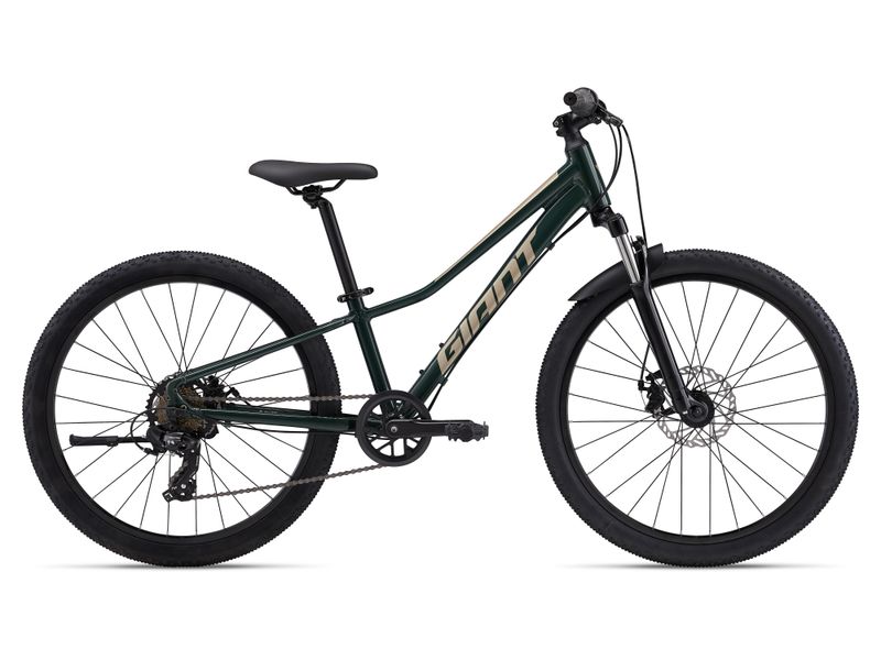 Giant Talon 24 Disc Trekking Green