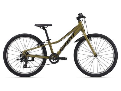 Giant Talon 24 Lite