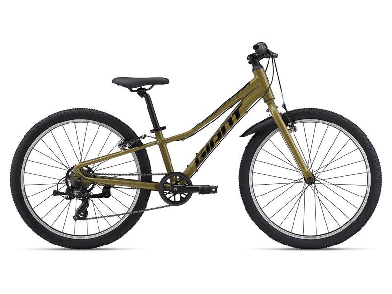 Giant Talon 24 Lite