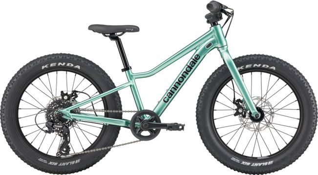 Cannondale Trail 20 Plus