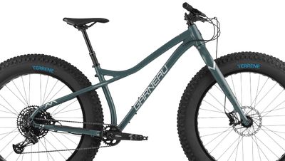 Fatbikes