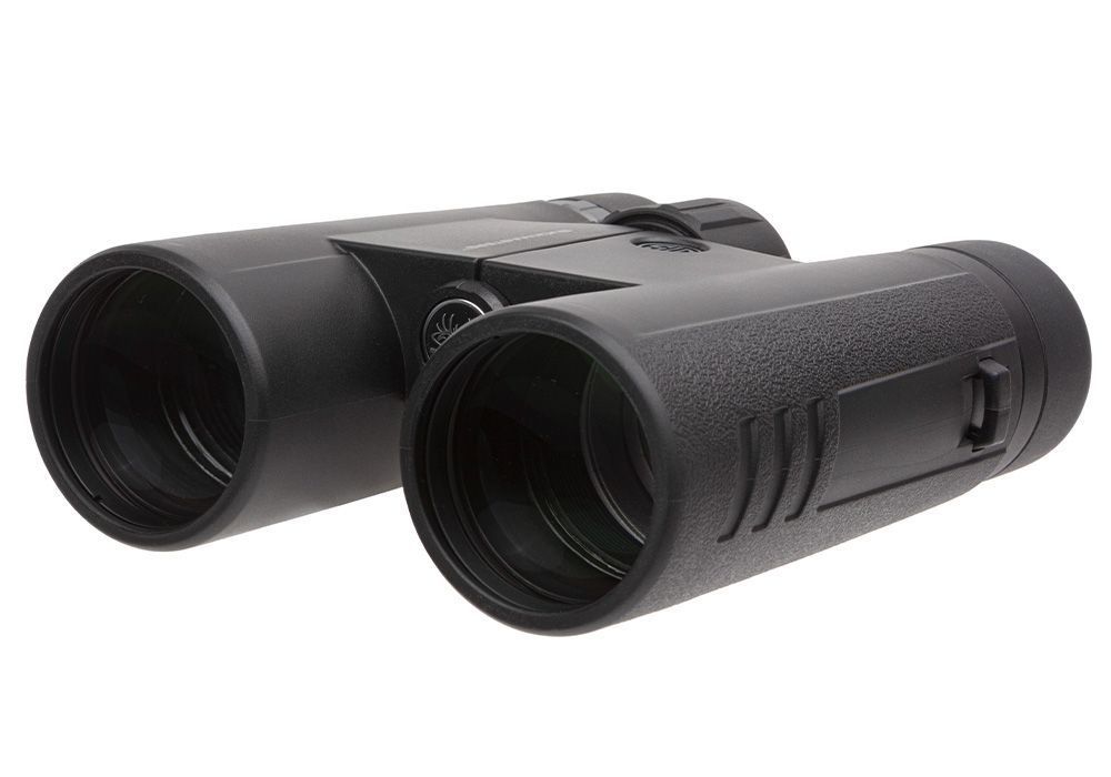Sig Sauer Buckmaster Binos, 10x42