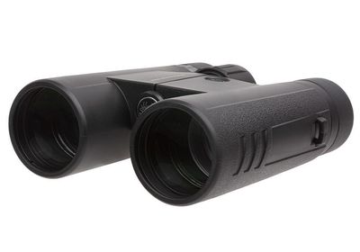 Sig Sauer Buckmaster Binos, 10x42