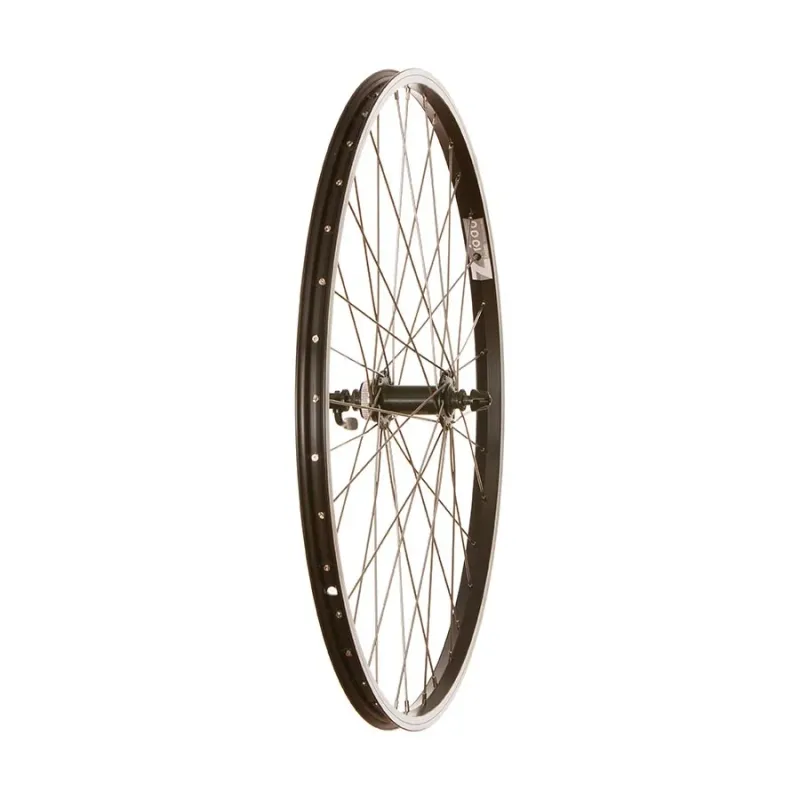 Wheel Shop, Evo Tour 19 Black, Wheel, Front, 26'' / 559, Holes: 36, QR, 100mm, Rim and Disc IS 6-bolt