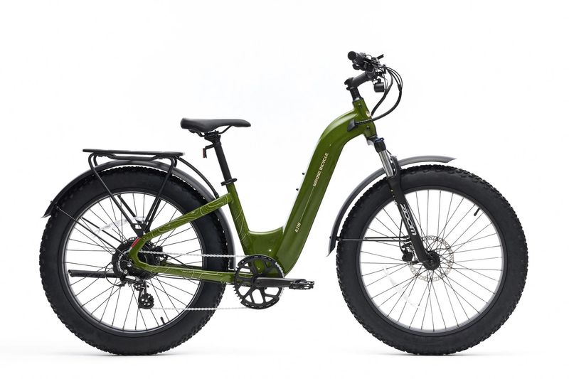 Moose Iltis Fat Tire eBike, Sarge Green - S/M