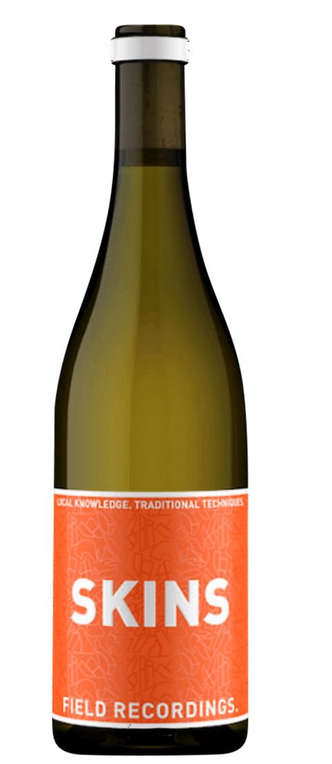 Field Recordings 'Skins' 2024, Central Coast, California