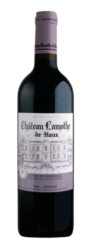Château Lamothe de Haux Rouge 2020, Bordeaux, France  - 375ml