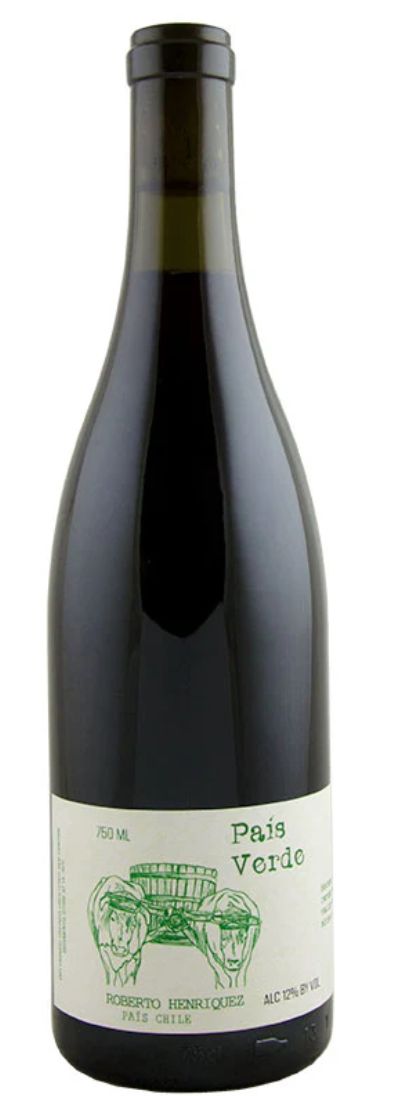 Roberto Henriquez &#39;Verde&#39; Pais 2024, Sur, Chile
