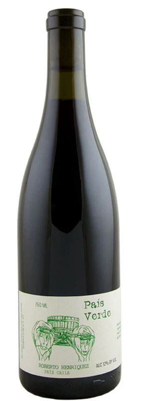 Roberto Henriquez &#39;Verde&#39; Pais 2024, Sur, Chile