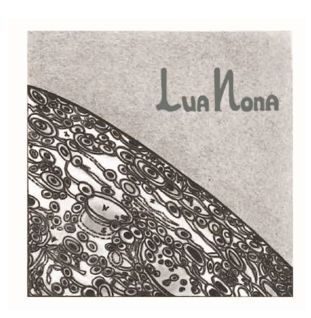 Bojo do Luar &#39;Lua Nona&#39; Orange 2024, Vinho Verde, Portugal