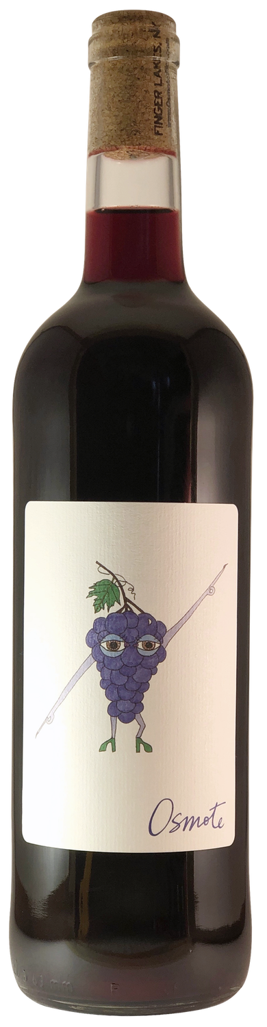 Osmote De Chaunac 2021, Finger Lakes, New York