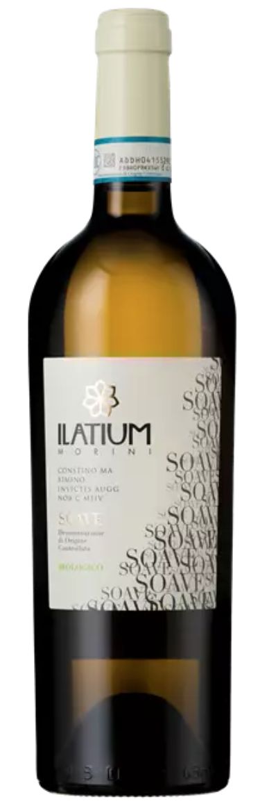Ilatium Morini &#39;Latium&#39; Soave 2024, Veneto, Italy