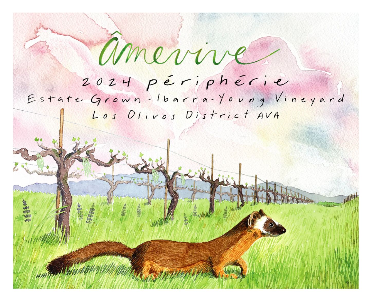 Âmevive Périphérie Estate Ibarra-Young Vineyard 2024, Los Olivos, California