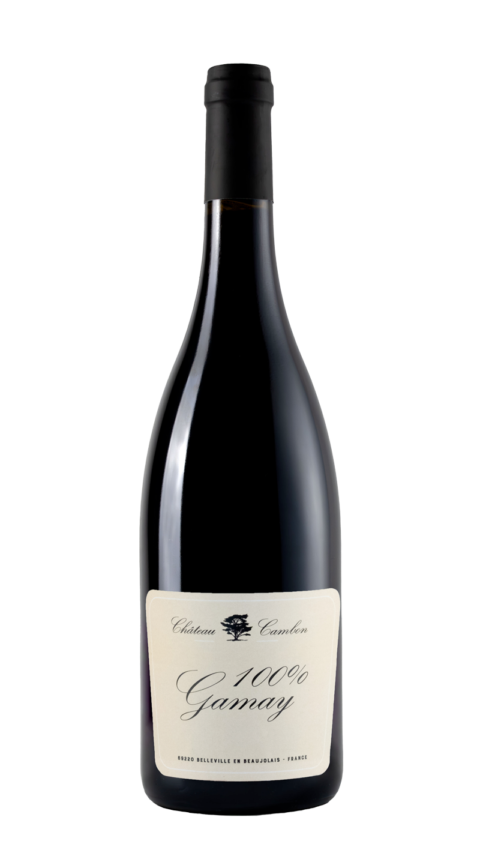 Château Cambon 100% Gamay 2023, Beaujolais, France