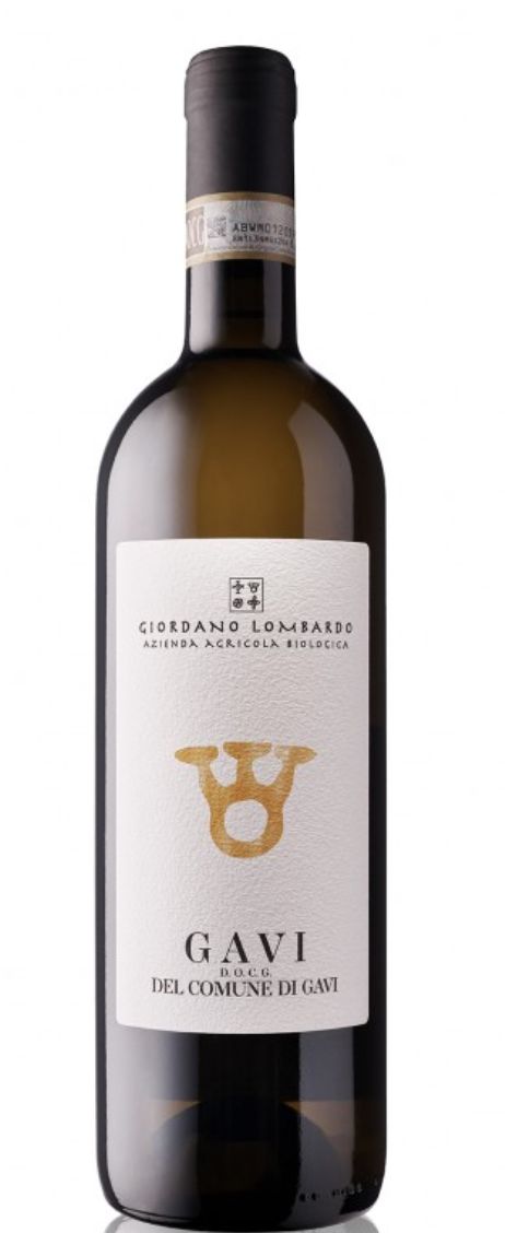 Giordano Lombardo Gavi del Comune di Gavi 2023, Piedmont, Italy