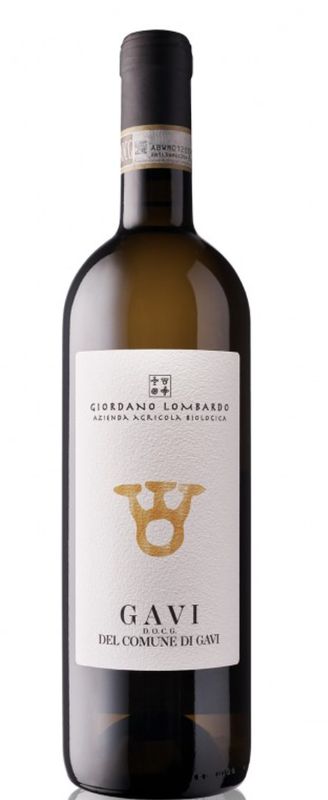 Giordano Lombardo Gavi del Comune di Gavi 2023, Piedmont, Italy