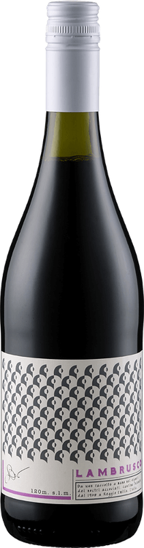 Cantina Puianello Lambrusco, Emilia-Romagna, Italy