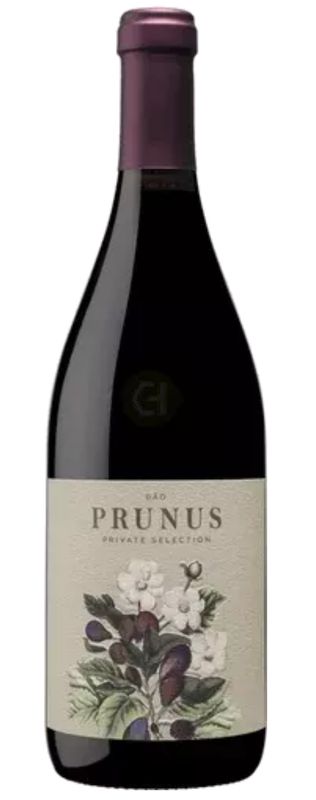 Gota &#39;Prunus&#39; Tinto 2022, Dão, Portugal