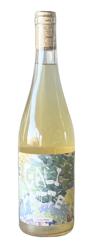 Accordion Wines &#39;Galipette&#39; 2024, Hudson Valley, New York