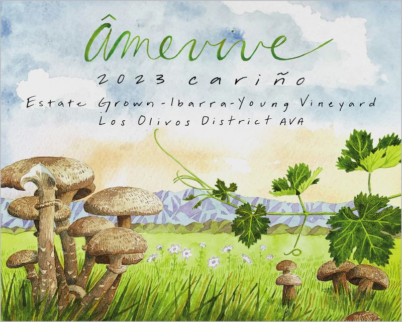 Âmevive  Cariño Ibarra-Young Vineyard Los Olivos District