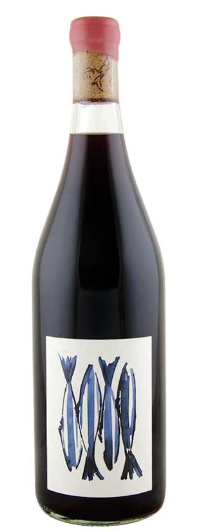 Barbichette &#39;Tête Bêche&#39; 2023, Finger Lakes, New York