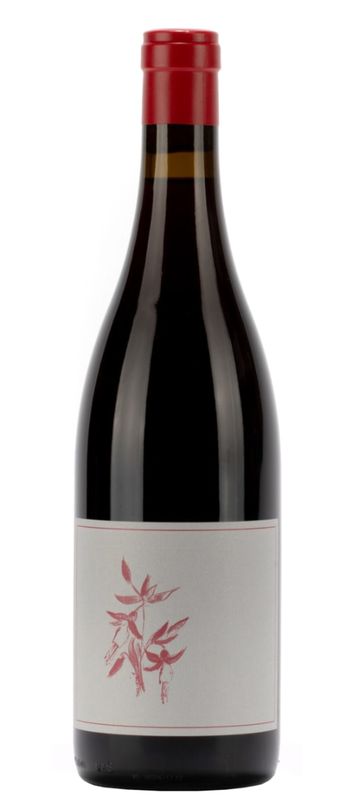 Arnot-Roberts Gamay Noir 2024, El Dorado, California