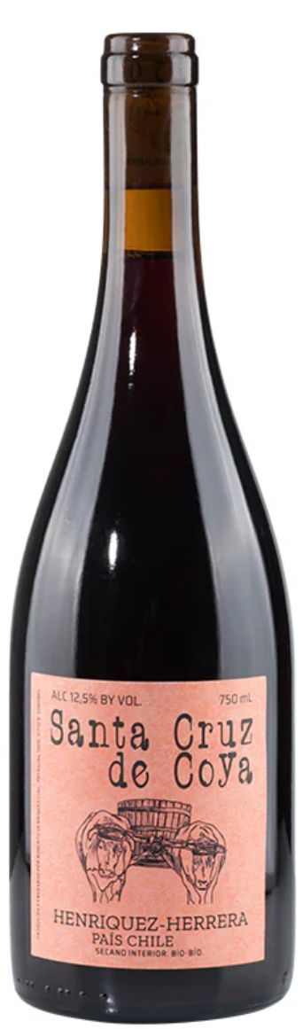 Roberto Henriquez 'Santa Cruz de Coya' 2024, Sur, Chile