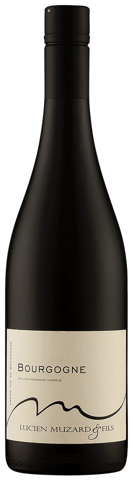 Lucien Muzard Bourgogne Rouge 2024, Burgundy, France