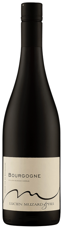 Lucien Muzard Bourgogne Rouge 2024, Burgundy, France