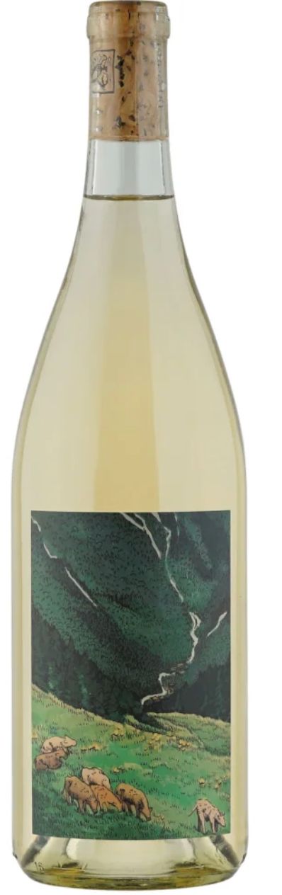Kelley Fox Wines Grüner Veltliner 2025, Willamette Valley, Oregon