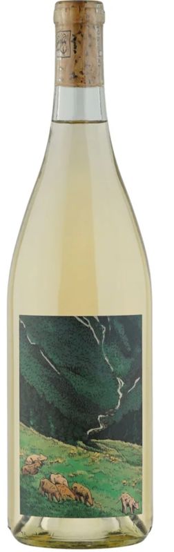 Kelley Fox Wines Grüner Veltliner 2025, Willamette Valley, Oregon