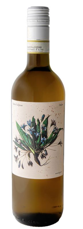 Marta Valpiani 'Delyus' Bianco 2022,  Emilia-Romagna, Italy