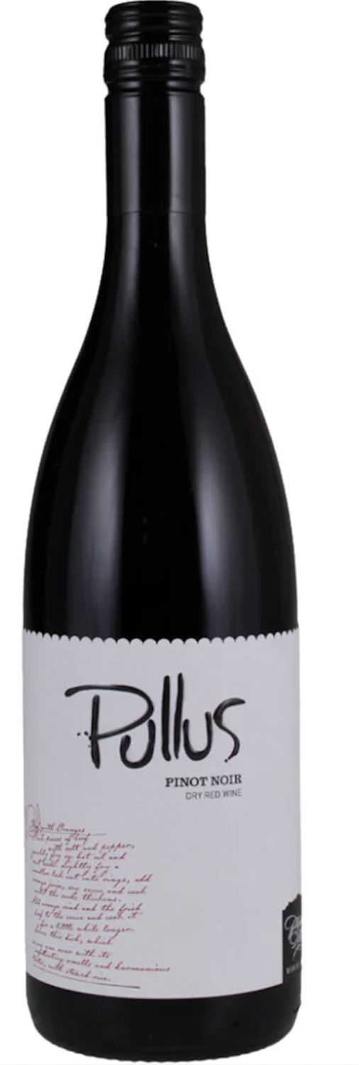 Pullus Pinot Noir 2024, Podravje, Slovenia
