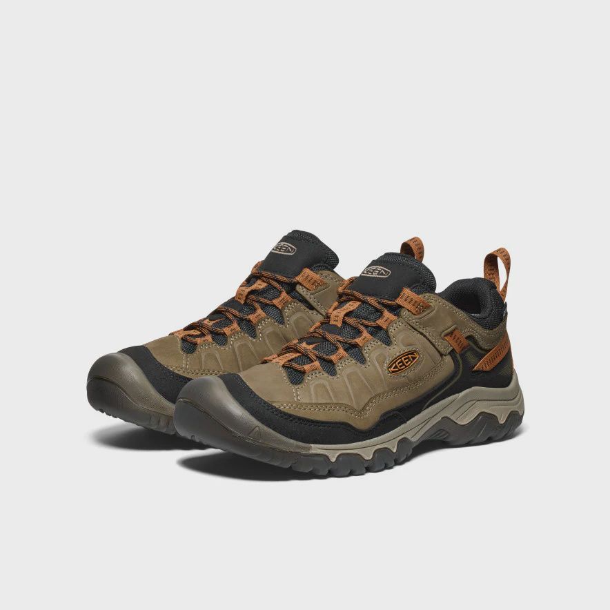 Targhee 4 - WP M - Sea Turtle/Roasted Pecan