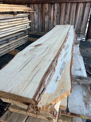 Live Edge Wood Slabs
