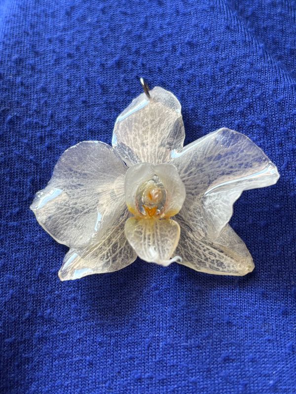 Colgante de Orquídea blanca enana
