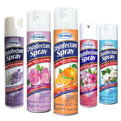 HOMEBRITE DISINFECTANT SPRAY 170G - KILLS 99.9% OF GERMS