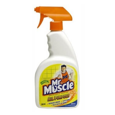 MR MUSCLE ALL PURPOSE CLEANER WITH TRIGGER 750ML
